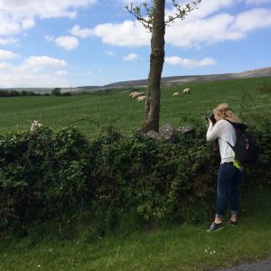 Aideen and the lamb